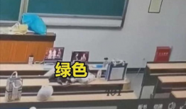 教室门视频,一窥校园日常瞬间
